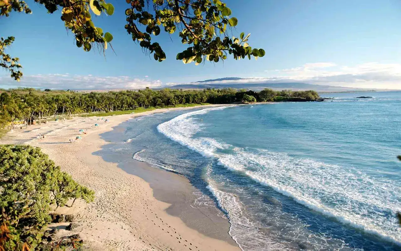 Traumhafter Hawaii Beach mit Palmen, feinem Sand und türkisfarbenem Meer. Wellen brechen sanft am Ufer.