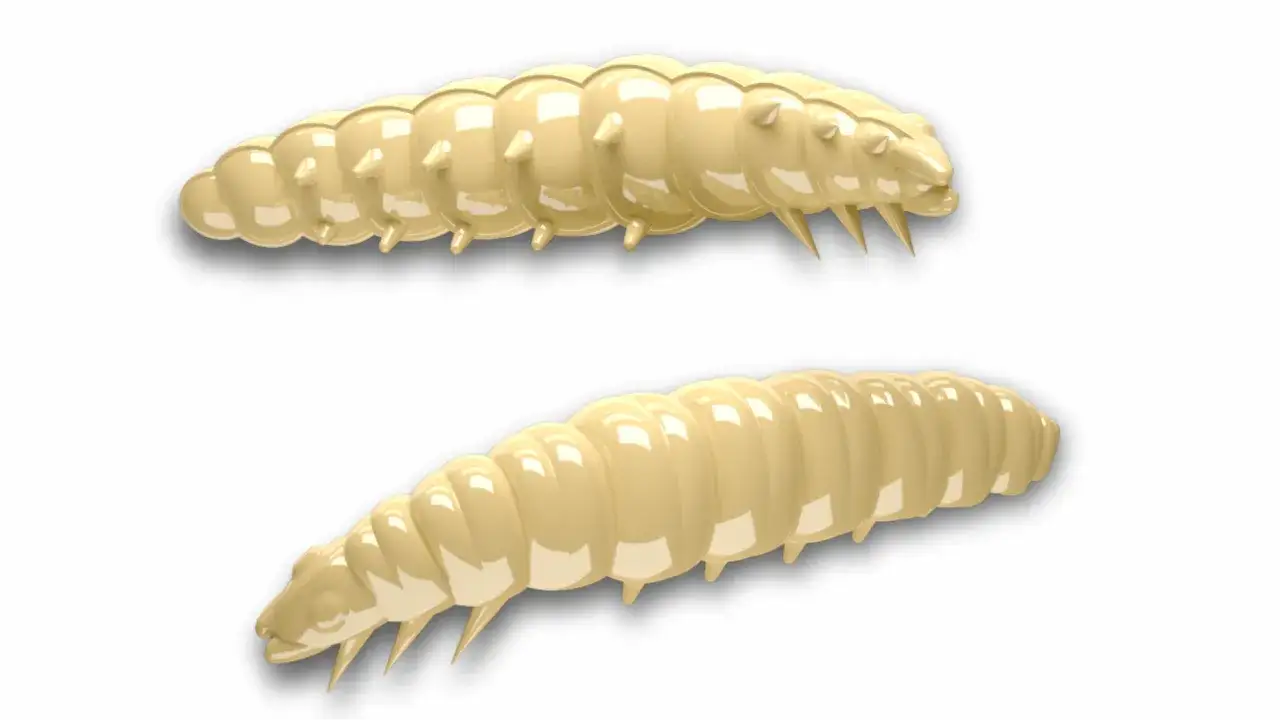 Libra Lures Larva Fatty D'Worm Largo