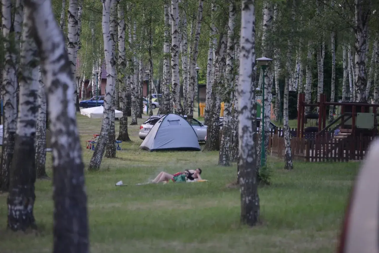 Relaks na trawie obok namiotu, w otoczeniu brzóz. Idealne miejsce na camping Dolny Śląsk.