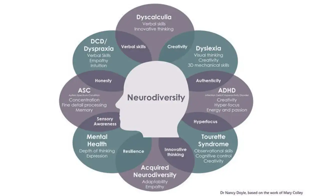 Diagram o neurodywersyfikacji: Asperger (ASC) to jeden z jej aspektów, obok ADHD, dysleksji, dyskalkulii i innych.