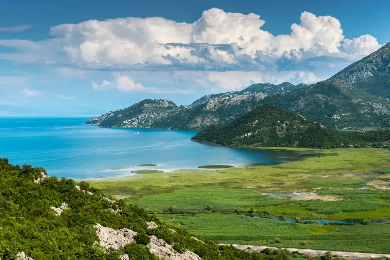 Malownicze jezioro Skadar w Czarnogórze, idealne miejsce, by zobaczyć dziką przyrodę i piękne krajobrazy.