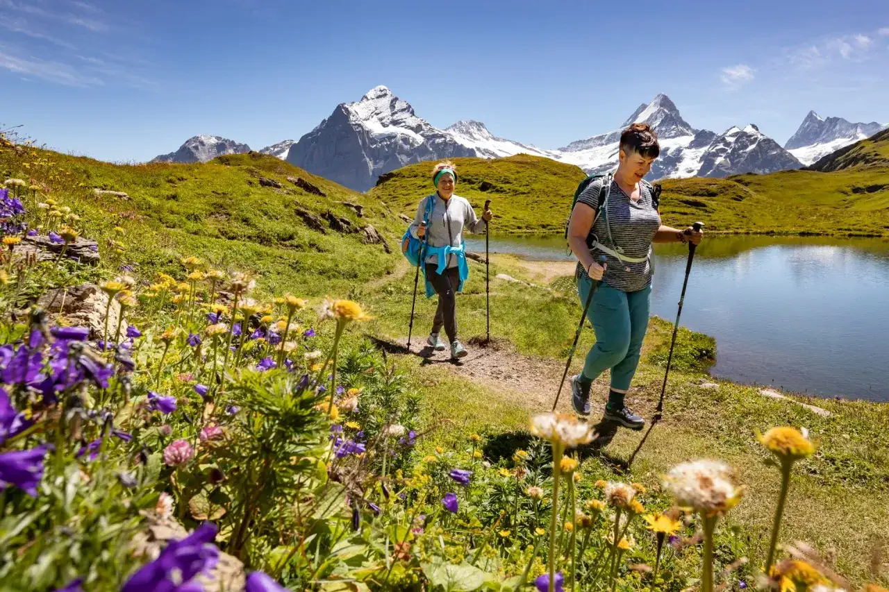 Zwei Frauen genießen ihren Alpen Urlaub beim Wandern mit Stöcken, vorbei an einem Bergsee und blühenden Wiesen. Majestätische Gipfel im Hintergrund.