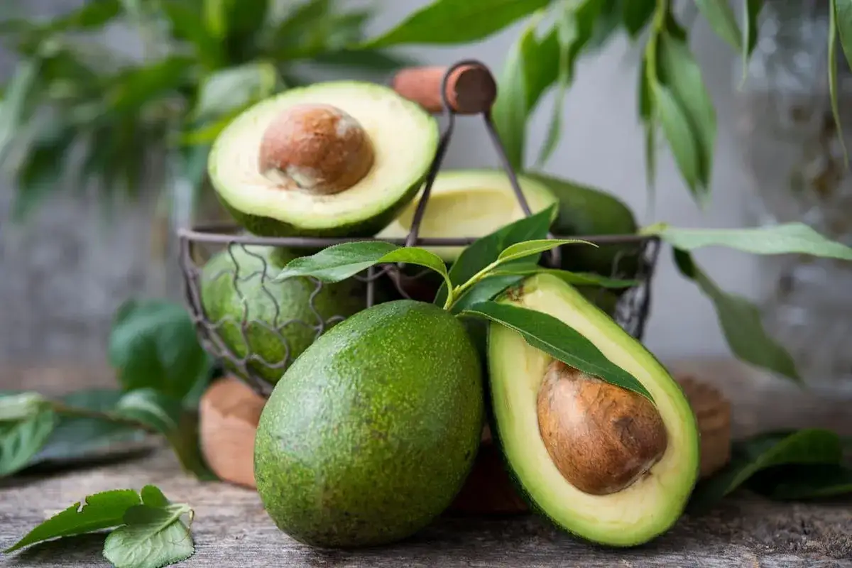 Avocats frais, dont un coup&eacute; en deux, dans un panier. Ces fruits, issus d'un avocatier de 5 ans, sont parfaits pour un repas sain.