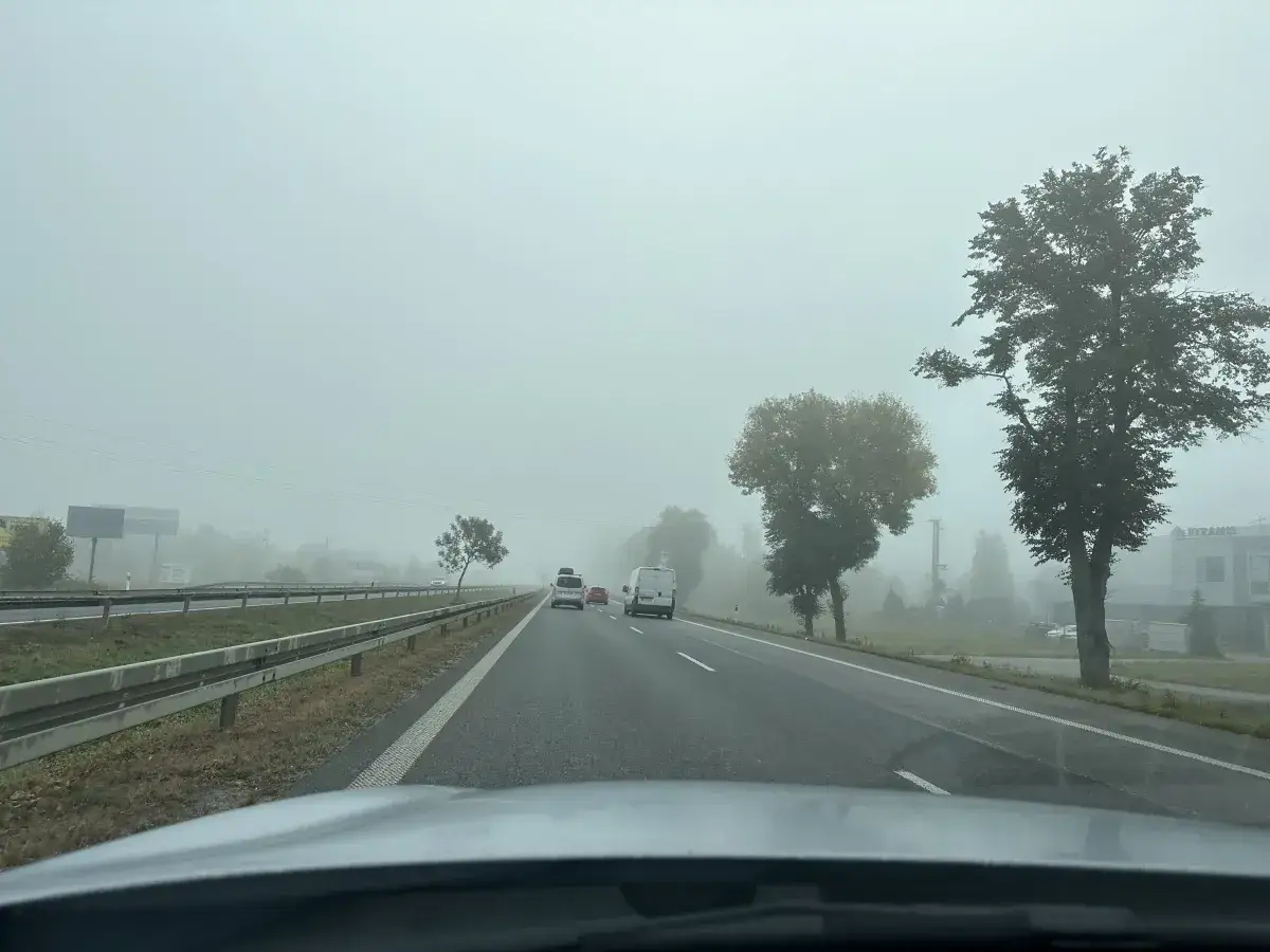 Gęsta mgła ogranicza widoczność na drodze. Samochody jadą ostrożnie, bo kierując pojazdem we mgle masz obowiązek zachować szczególną ostrożność.
