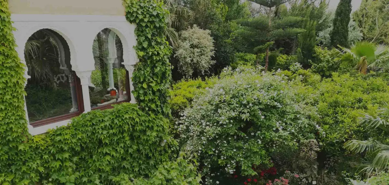 Un rincón exuberante del jardín botánico Almería, con arcos cubiertos de hiedra y flores blancas.