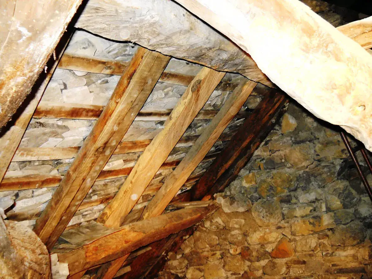 Interno di una vecchia legnaia con travi in legno e muri in pietra grezza.