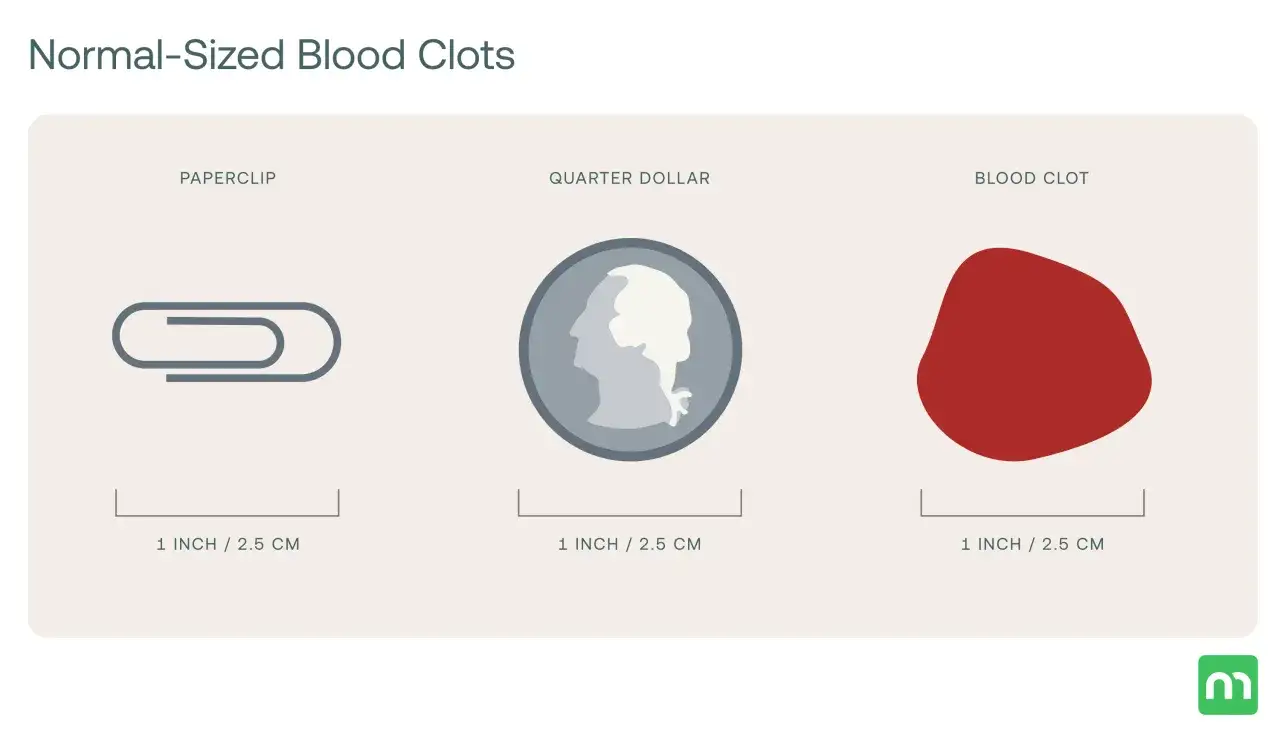 Confronto tra graffetta, moneta e coaguli di sangue di dimensioni normali, utili per capire le dimensioni durante il ciclo.
