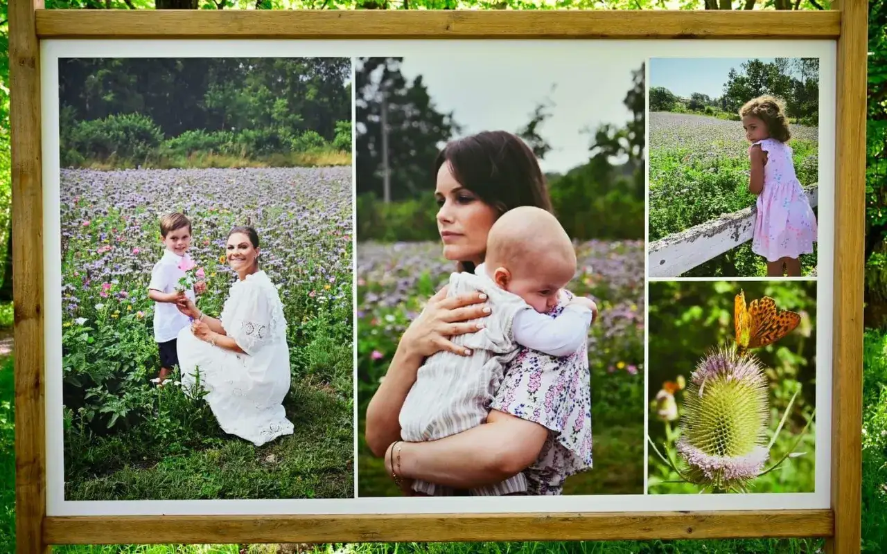 Nya bilder fr&aring;n kungahuset: Prinsessan Sofia med barn, Prinsessan Victoria med son, en flicka vid ett staket och en fj&auml;ril p&aring; en tistel.