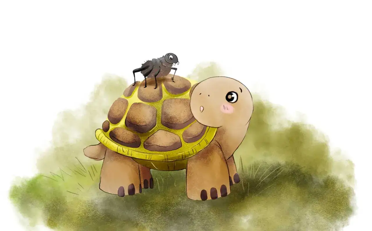 Ein kleiner Käfer reitet auf dem Panzer von Törtel, der Schildkröte aus dem McGrün. Sie sind Freunde und erkunden gemeinsam die Welt.