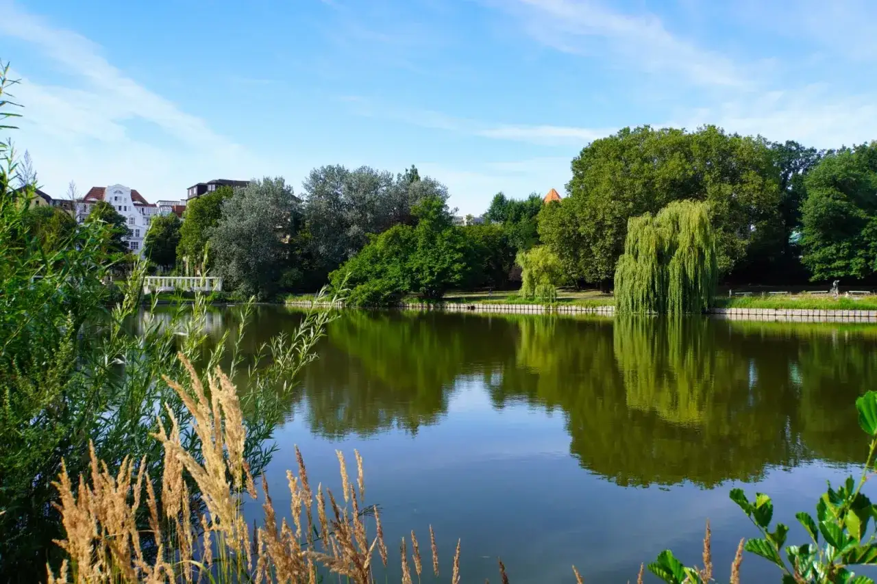 Gr&uuml;ne B&auml;ume spiegeln sich im ruhigen Wasser des Lietzensees in Berlin. Ein wei&szlig;er Steg f&uuml;hrt zu H&auml;usern am Ufer.