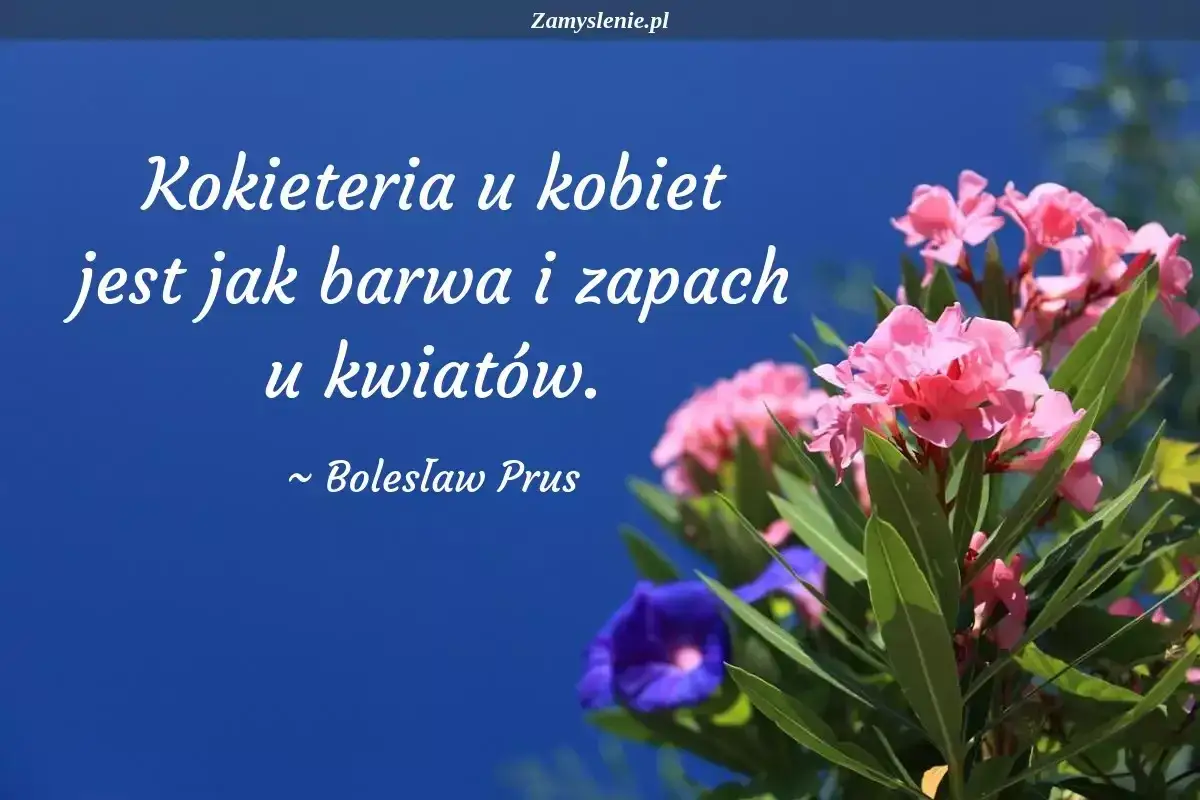 Cytaty o kobietach: 