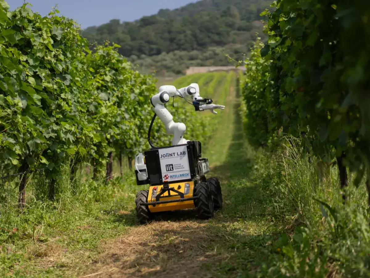 Robot agricolo autonomo tra i filari di vigneti, esempio di **deep tech** per l'agricoltura di precisione.