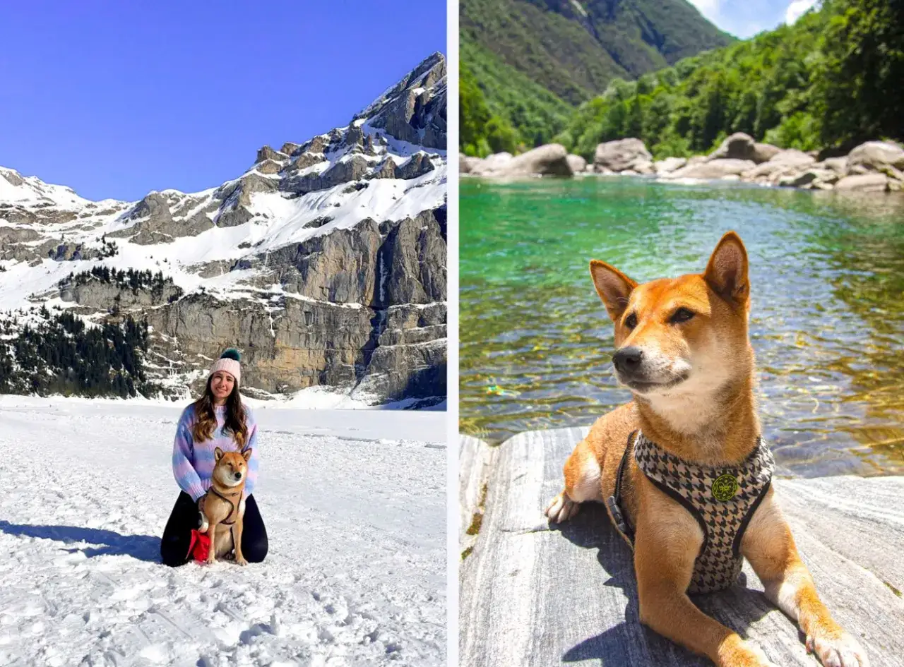 Une femme et son chien profitent de paysages vari&eacute;s, sugg&eacute;rant le meilleur pays pour voyager avec son chien.