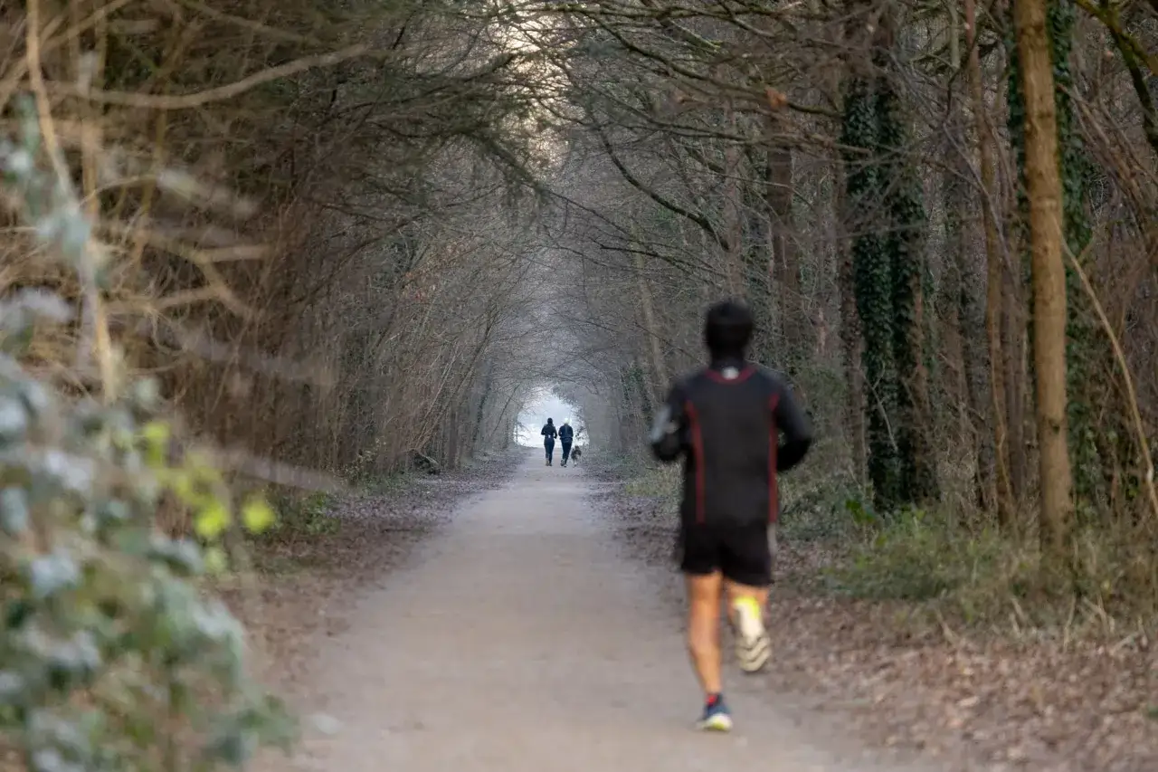 Un homme court &agrave; jeun le matin sur un sentier bois&eacute;. D'autres coureurs et un chien sont plus loin sur le chemin.
