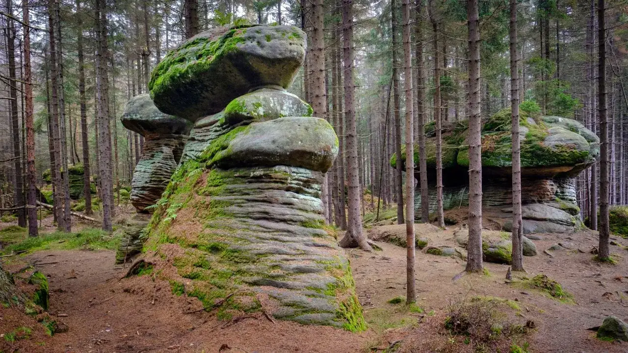 Skalne Grzyby Góry Stołowe