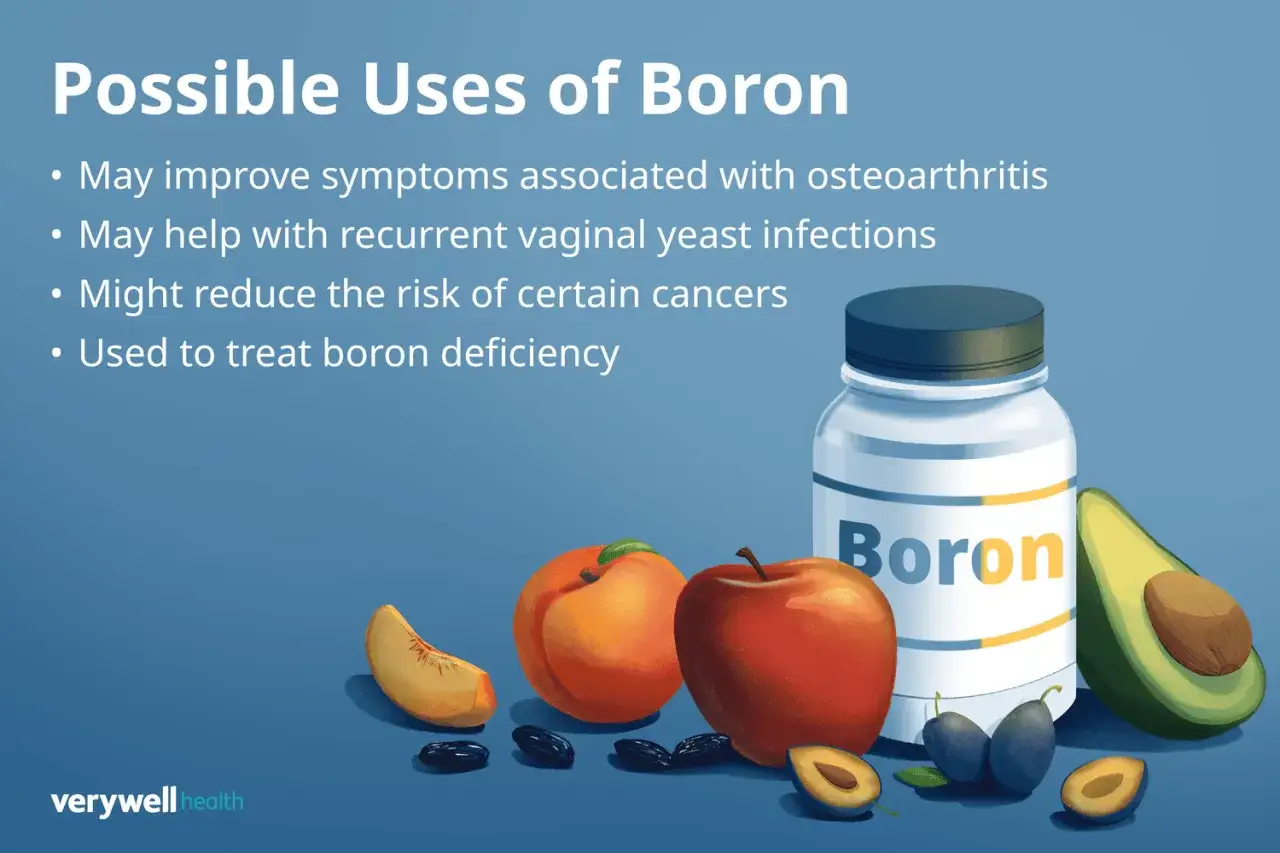 Boron-Pr&auml;parat mit Fr&uuml;chten. M&ouml;gliche Boron-Wirkung: Linderung bei Arthrose, Hefepilzinfektionen, Krebsrisiko-Reduktion, Behandlung von Bor-Mangel.