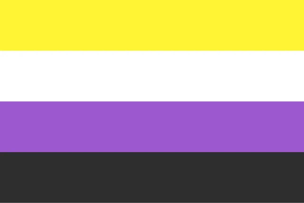 Bandiera non binaria: giallo, bianco, viola e nero. Rappresenta l'identità di genere che non rientra nelle categorie di uomo o donna, un significato di inclusione.