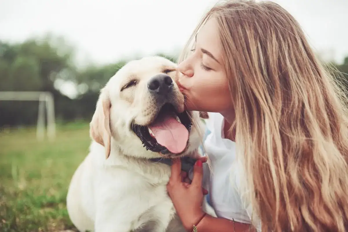 Dziewczyna całuje labradora, który wygląda na zakochanego. Jego szczęśliwy wyraz pyska i wystawiony język to wyraźne objawy psiej miłości.