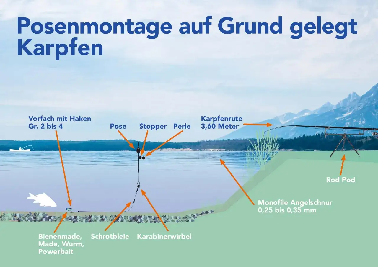 Illustration zeigt eine Posenmontage zum Grundangeln auf Karpfen. Mit K&ouml;dern wie Made oder Wurm.