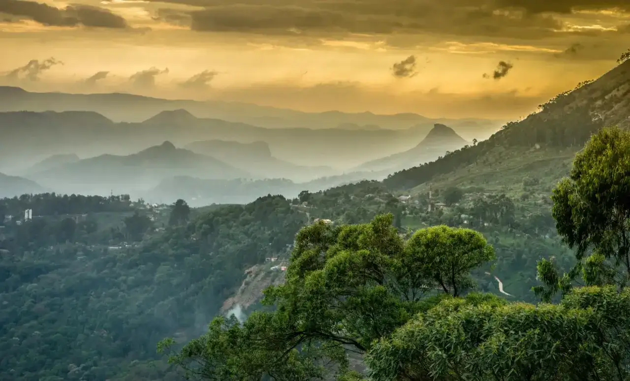 Sanfte H&uuml;gel und Berge in Indien, bedeckt mit &uuml;ppigem Gr&uuml;n, im warmen Licht des Sonnenuntergangs.