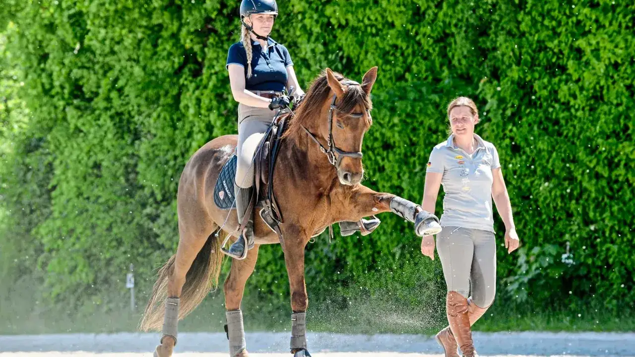 Ein Quarter Horse in Dressur-Training mit Reiterin und Trainerin.