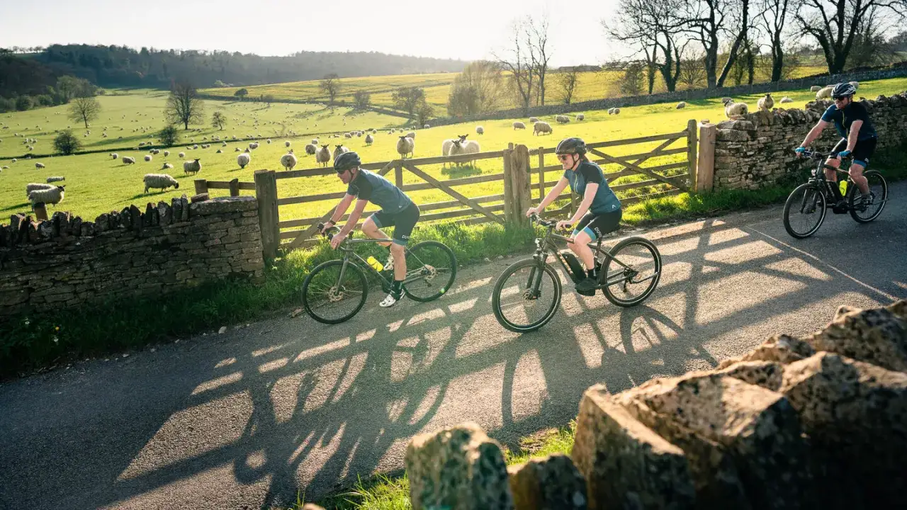 Two cyclists enjoy a sunny ride, passing sheep grazing in a picturesque field during their cycling in the Cotswolds adventure.