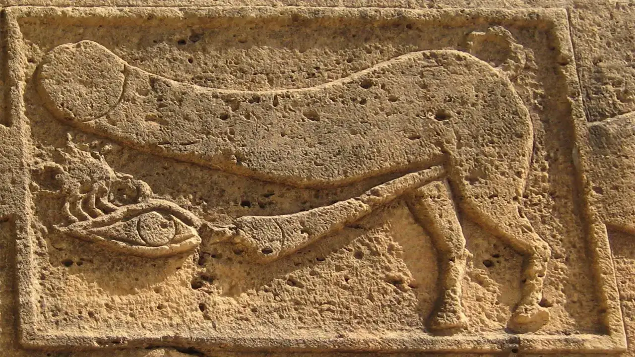 Starożytny relief przedstawia byka z fallusem, symbolizującego siłę i płodność.