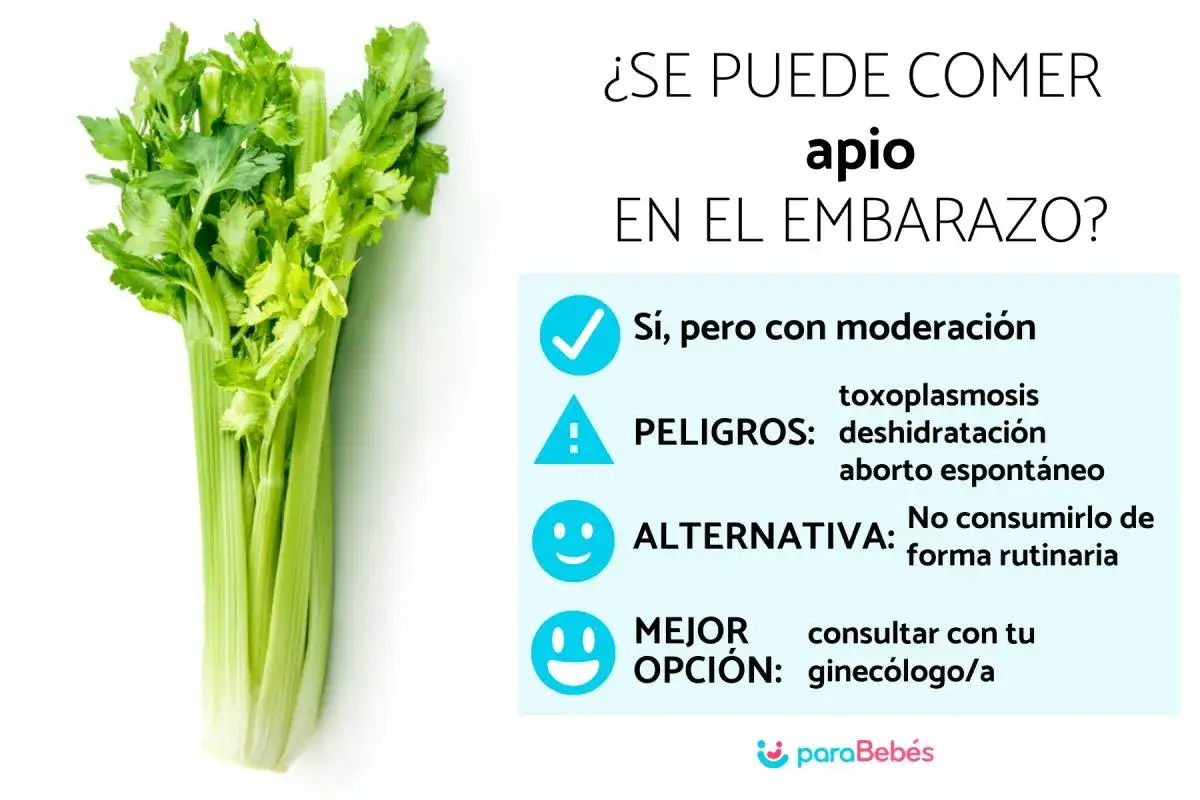 Un manojo de apio fresco junto a informaci&oacute;n sobre si se puede comer apio durante el embarazo, con advertencias y recomendaciones.