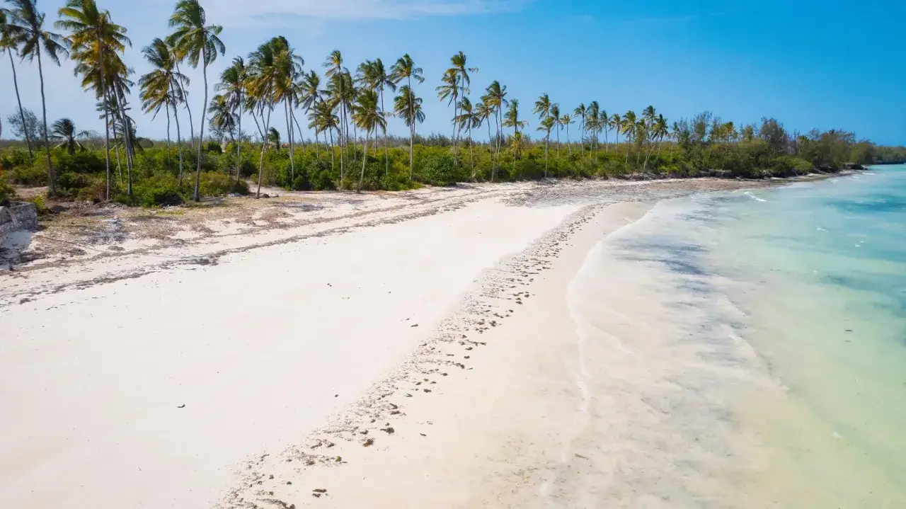 Rajska plaża z palmami i turkusową wodą. Idealne miejsce na wycieczkę na Zanzibar.