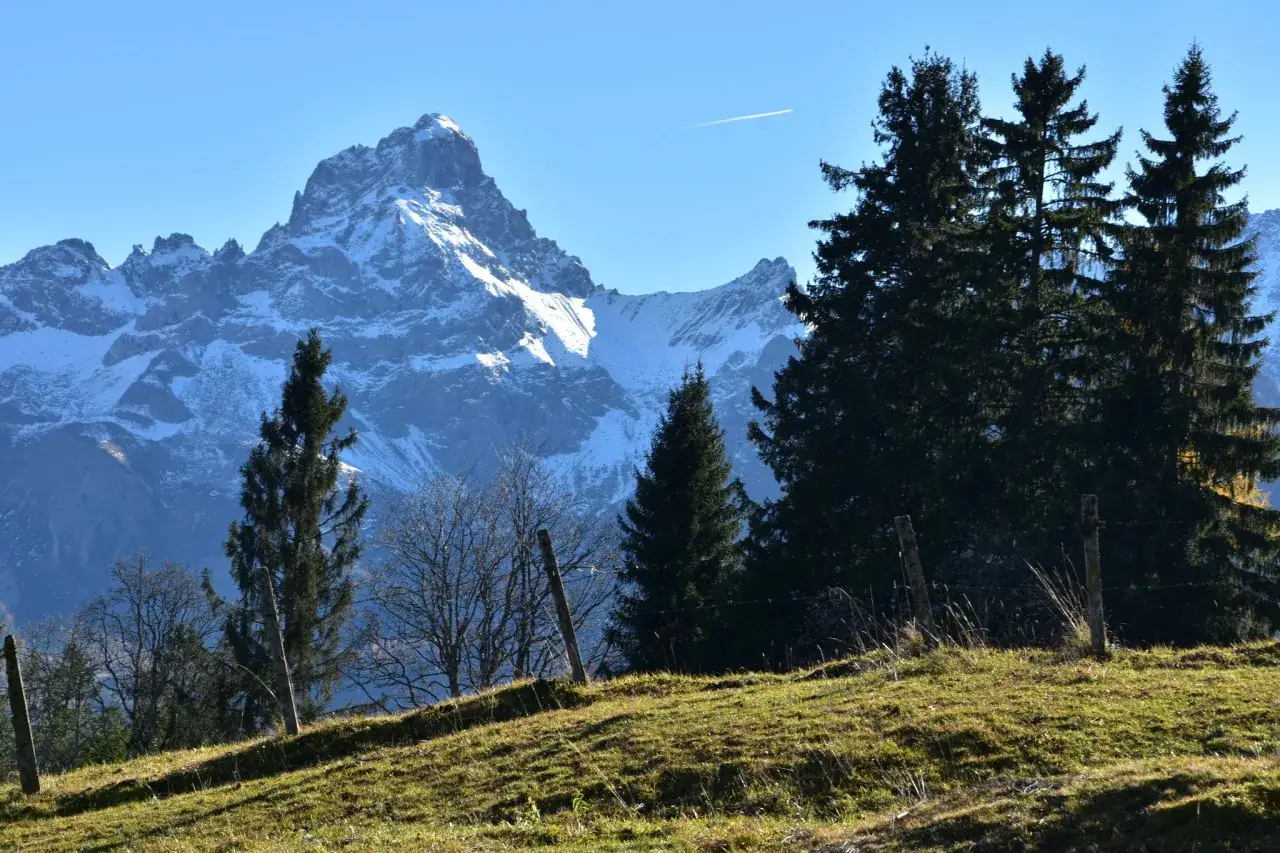 Sonnenbeschienene Almwiese mit Z&auml;unen und B&auml;umen im Vordergrund, im Hintergrund schneebedeckte Berge. Perfekt f&uuml;r brandnertal wandern.