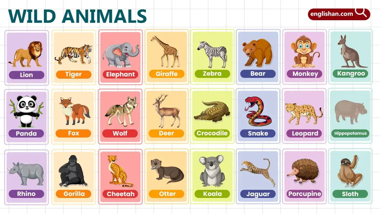Tarjetas ilustradas con animales en ingl&eacute;s para ni&ntilde;os: le&oacute;n, tigre, elefante, jirafa, cebra, oso, mono, canguro, panda, zorro, lobo, ciervo, cocodrilo, serpiente, leopardo, hipop&oacute;tamo, rinoceronte, gorila, guepardo, nutria, koala, jaguar, puercoesp&iacute;n, ...