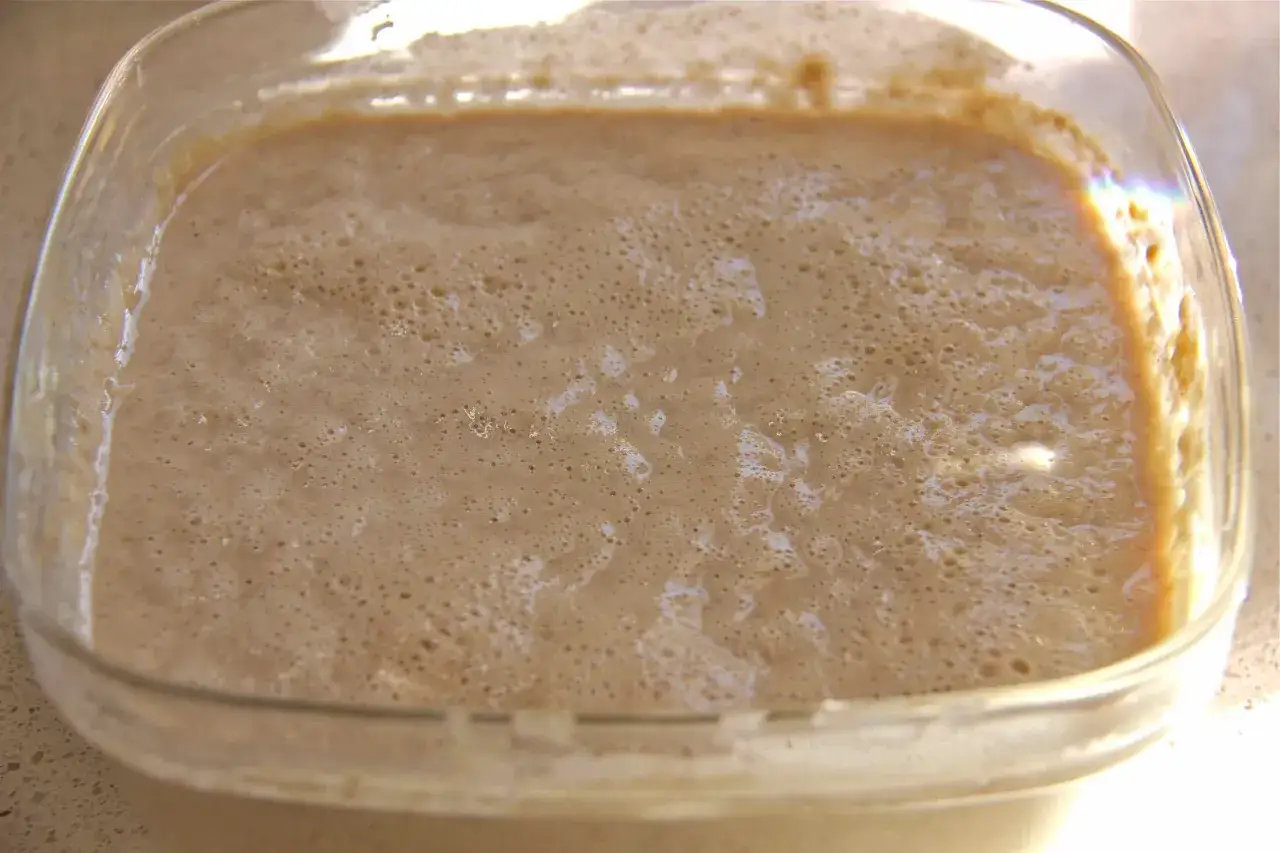 Un levain pétillant dans un récipient en verre, prêt à remplacer la levure de boulanger pour un pain savoureux.