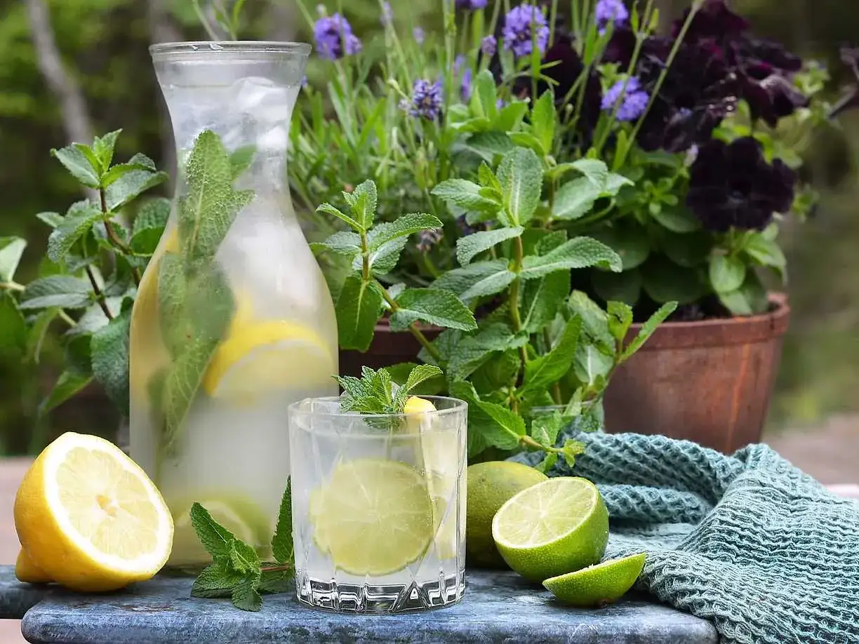 En karaff med is, citron och mynta. Ett glas med lime och mynta. Perfekt f&ouml;r ett uppfriskande lemonad recept.