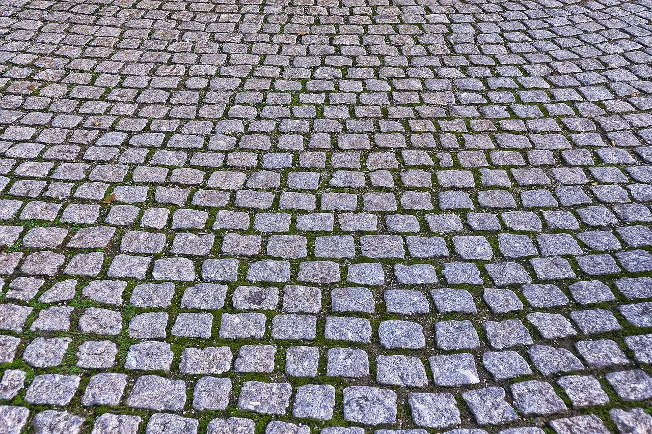 Szara kostka granitowa ułożona na ścieżce, z widocznym fugowaniem kostki granitowej suchym betonem i zielonym mchem między kamieniami.