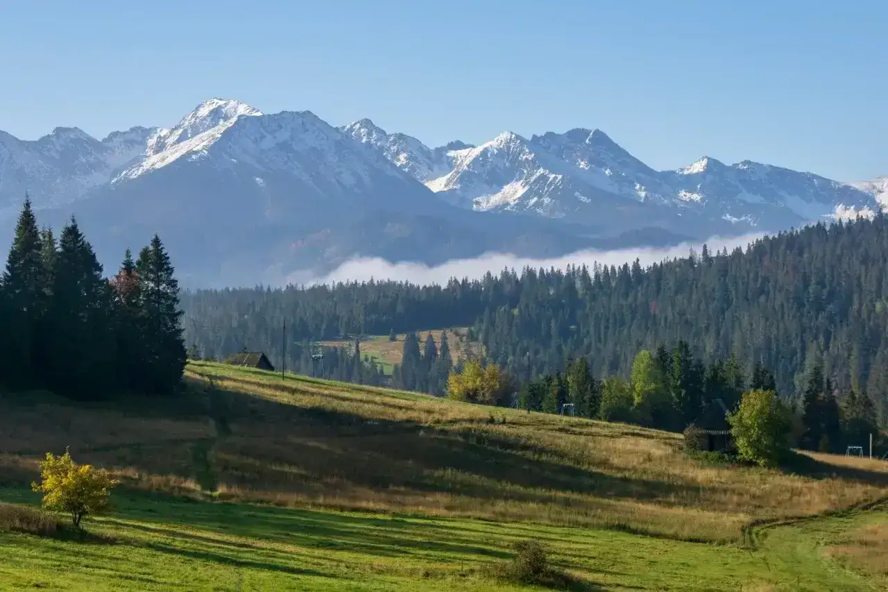 Widok na Tatry z Gubałówki. W oddali ośnieżone szczyty, niżej las i zielone łąki. Czarny szlak na Gubałówkę wije się po zboczu.