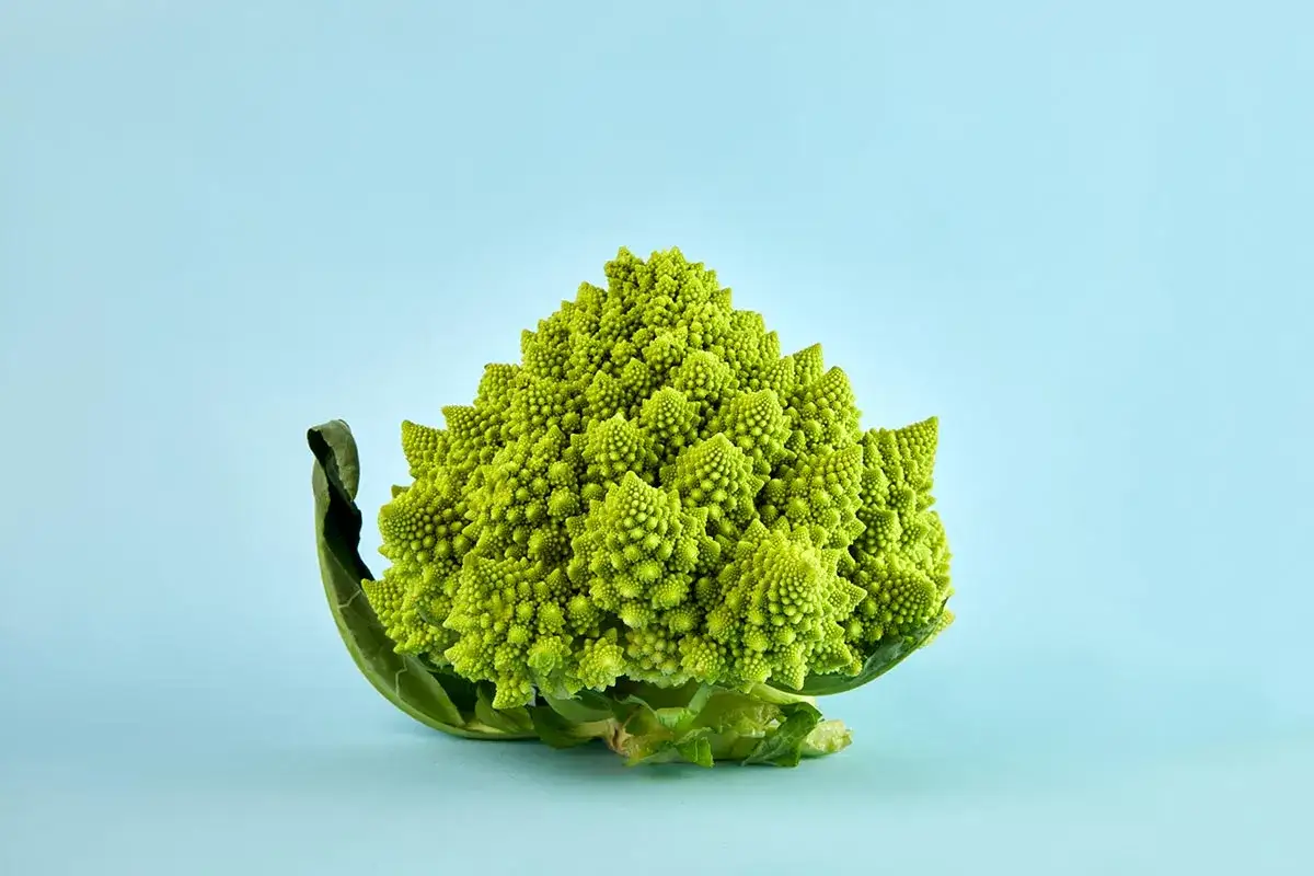 Broccolo romano intero e cimette