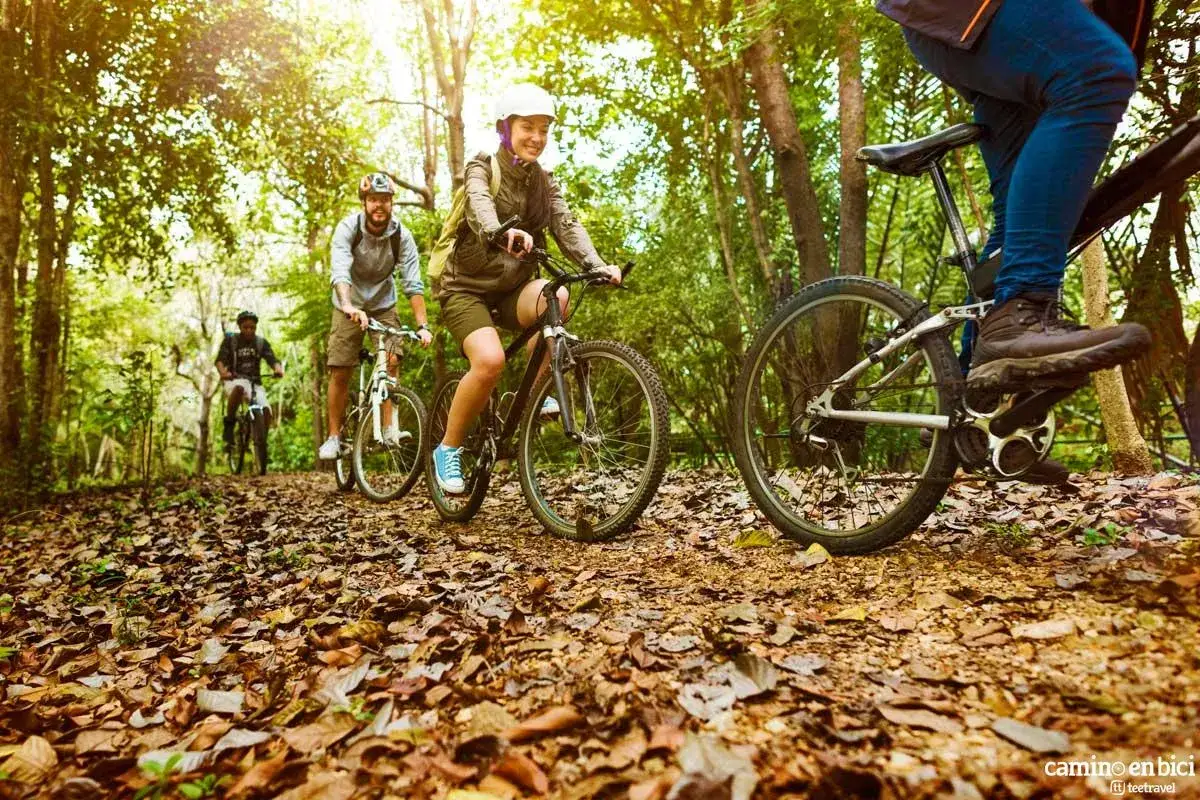 Disfrutando de una ruta de **Galicia en bici** por un sendero boscoso cubierto de hojas secas.