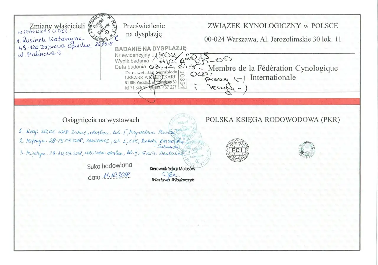 Metryka a rodowód psa rasowego ZKwP