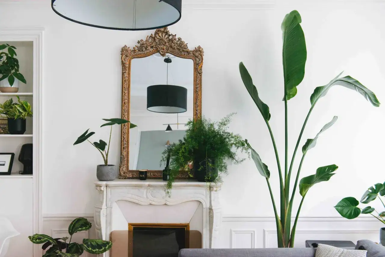 Un salon parisien baign&eacute; de lumi&egrave;re, orn&eacute; de **plantes d'int&eacute;rieur** luxuriantes. Un grand miroir dor&eacute; refl&egrave;te une lampe design.