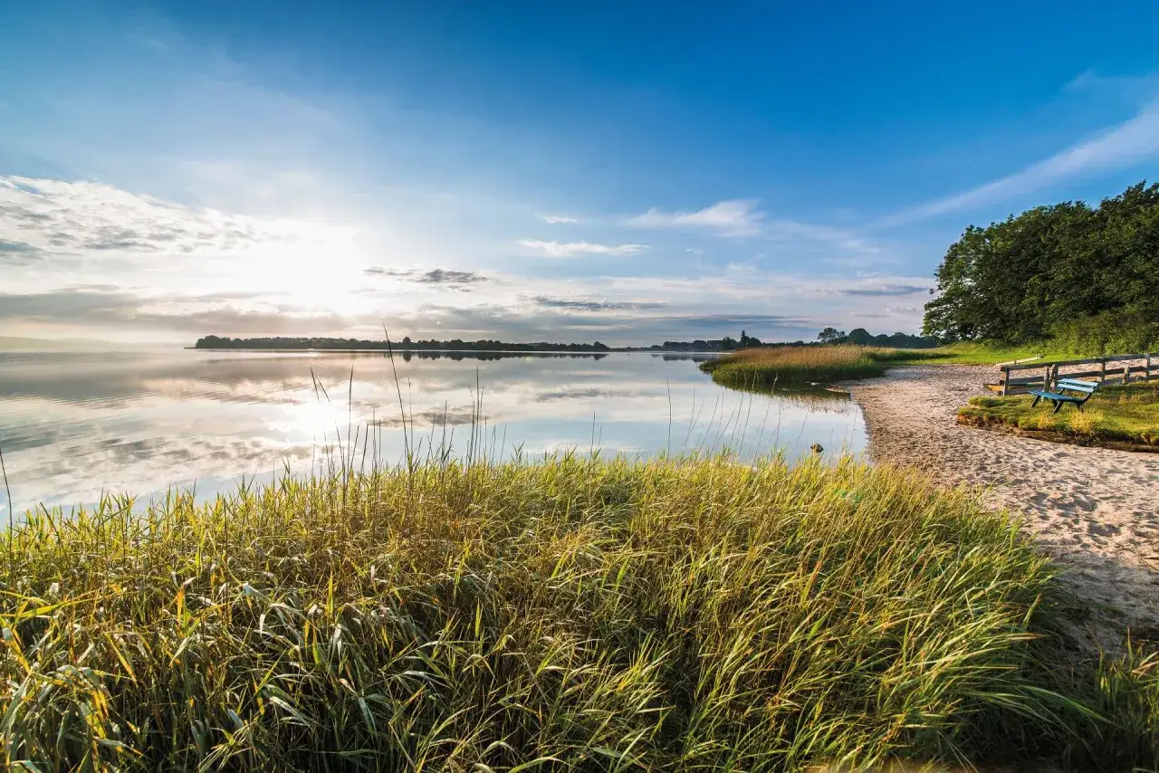 Idyllische Schlei-Landschaft mit Schilf, Sandstrand und einer blauen Bank. Perfekt f&uuml;r entspannte Schlei Ausflugsziele.