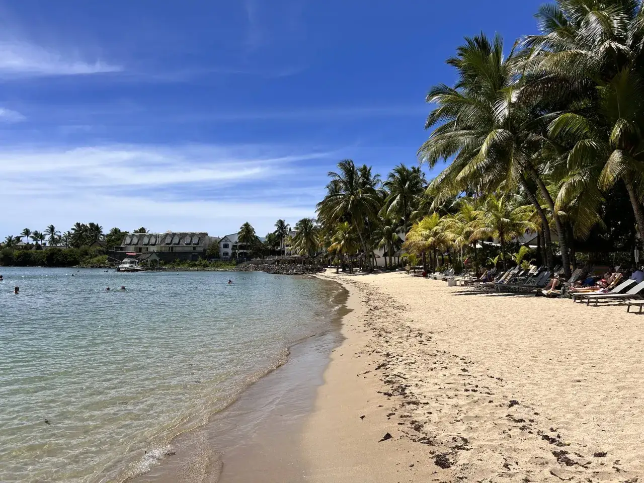 Rajska plaża z palmami i turkusową wodą. Czy warto jechać na Mauritius? Tak, to idealne miejsce na relaks.