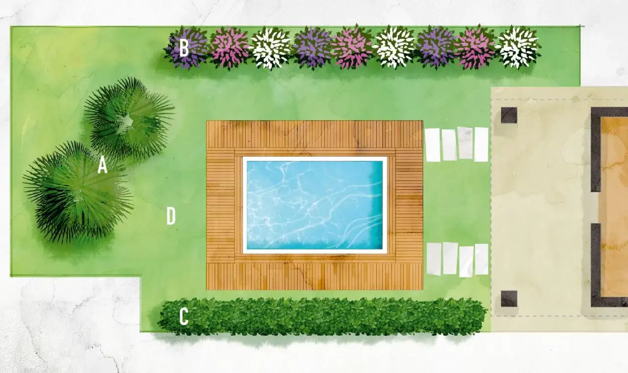 Progetto giardino: idee aiuole bordo piscina con piante verdi e fiori colorati.