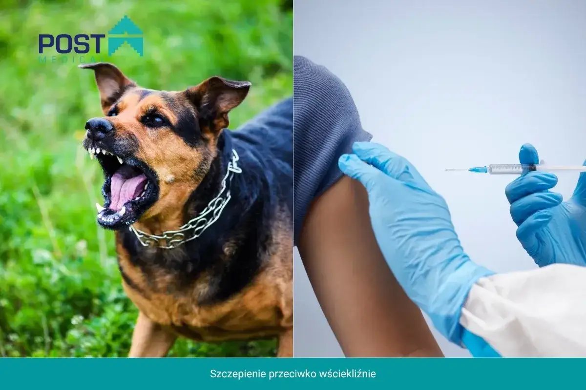 Agresywny pies grozi, a w tle ręka w niebieskiej rękawiczce podaje szczepionkę na wściekliznę.