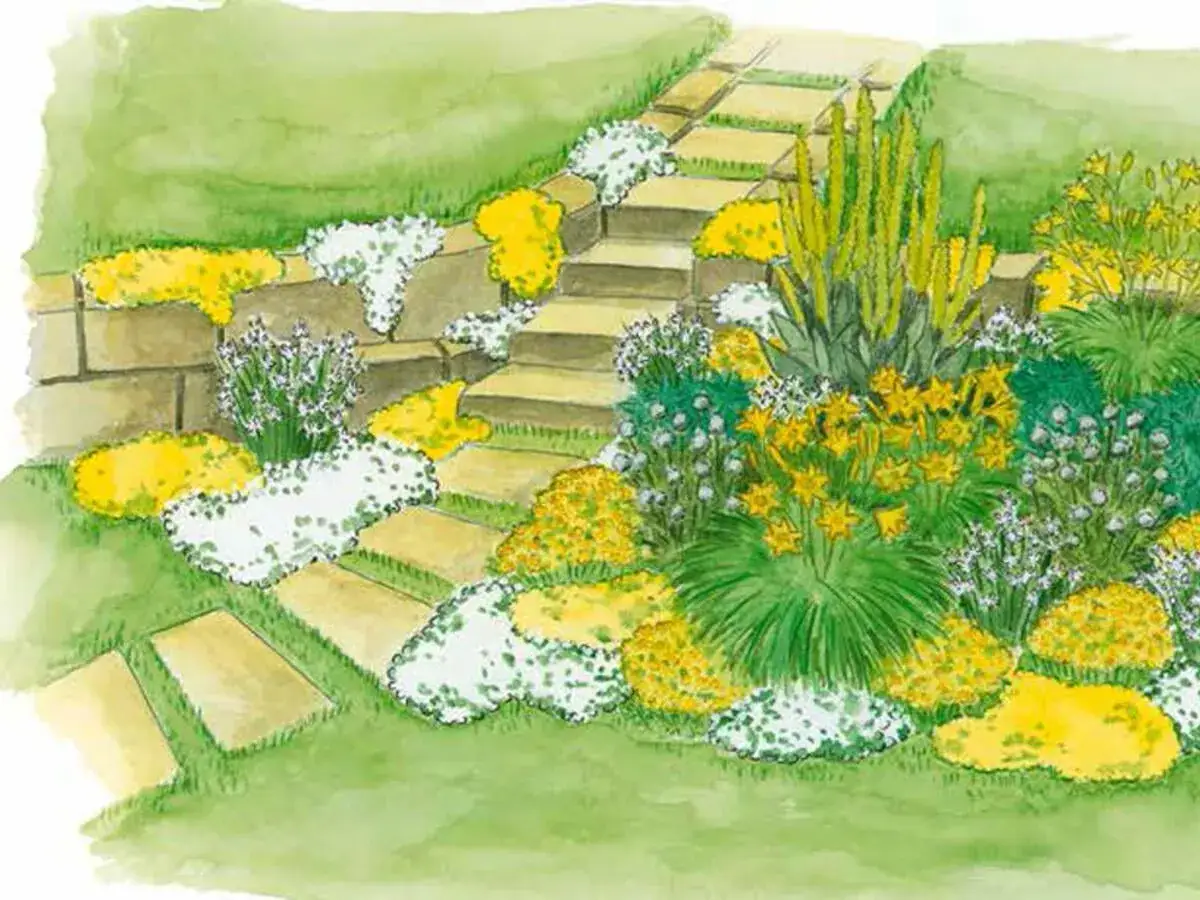 Ein sonniger Gartenweg mit gelben und wei&szlig;en Bl&uuml;ten, ideal f&uuml;r den Taglilien Standort.