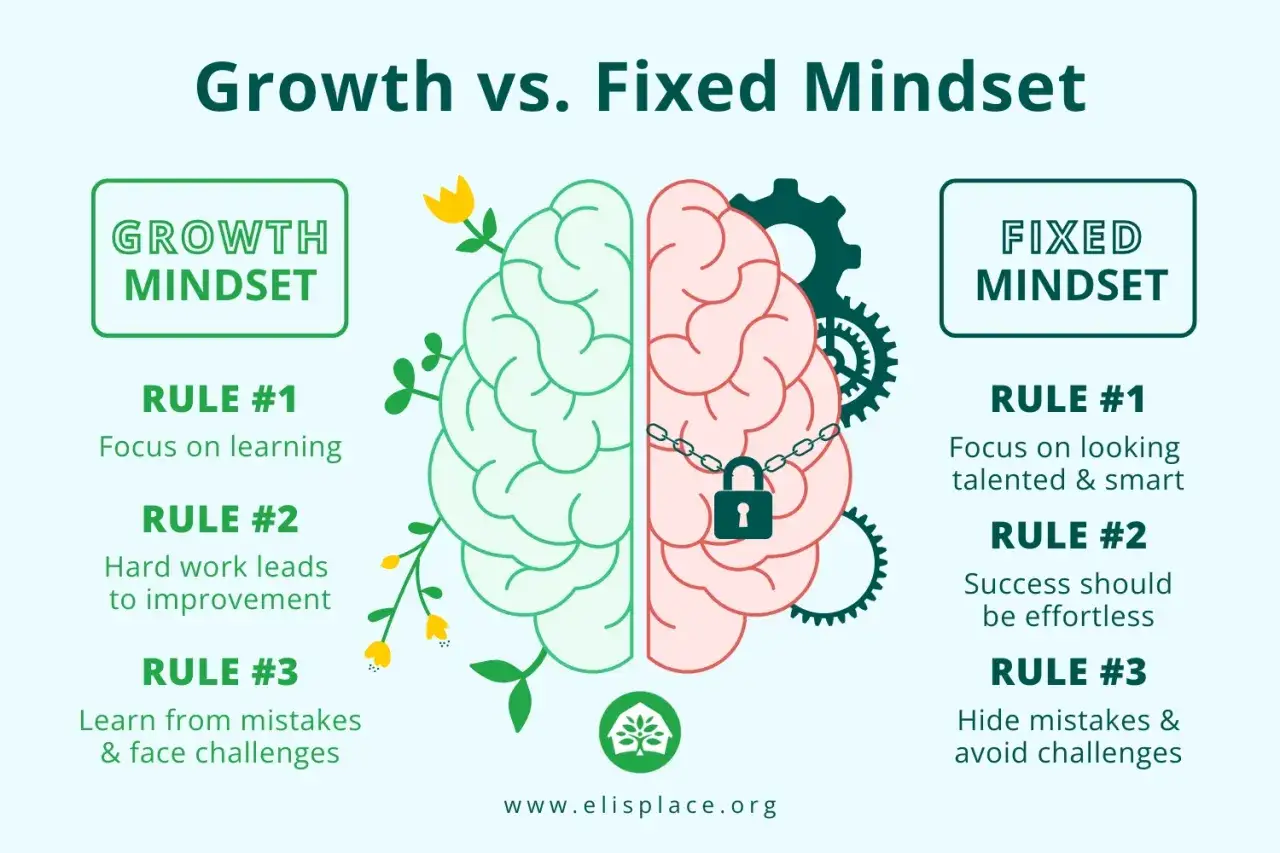Illustratie van een brein, verdeeld in een 'growth mindset' (groen, met bloemen) en een 'fixed mindset' (roze, met slot en tandwielen). De fixed mindset betekenis is hierbij het tegenovergestelde van groei.