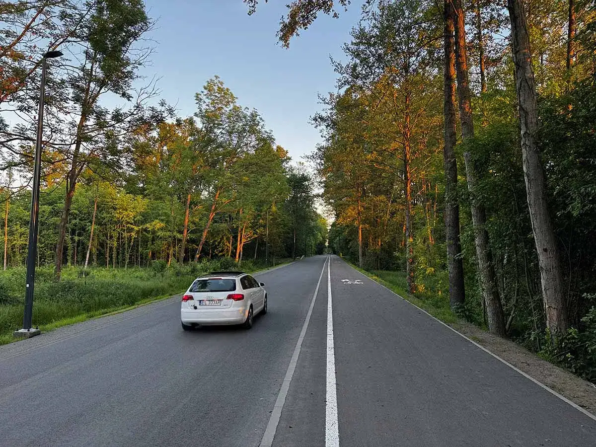 Biały samochód zatrzymał się na poboczu leśnej drogi. Słońce oświetla drzewa.