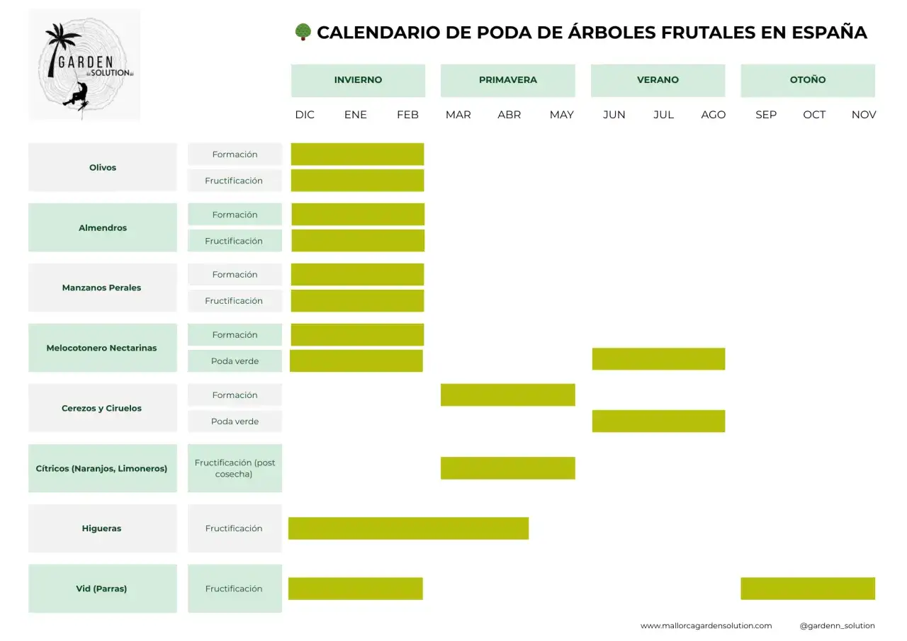 Calendario de poda de árboles frutales en España: olivos, almendros, manzanos, melocotoneros, cítricos, higueras y vid.
