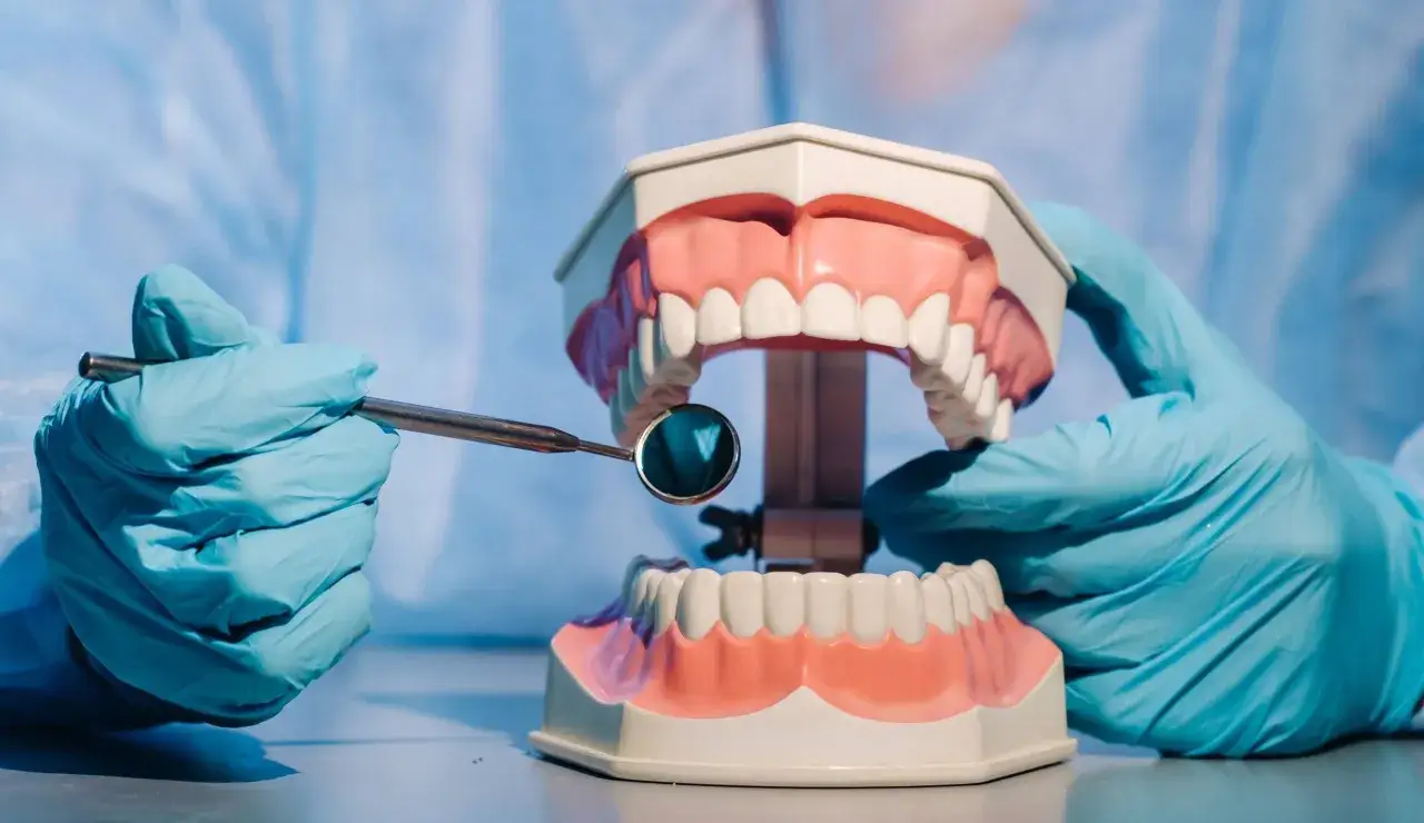 Ręce w niebieskich rękawiczkach trzymają model szczęki i lusterko dentystyczne. To praca technika dentystycznego.
