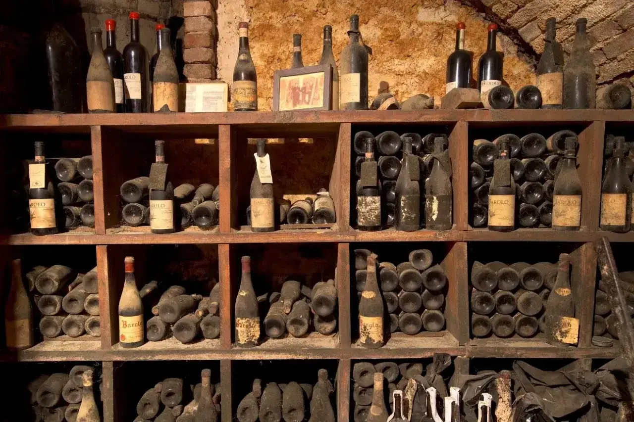 Vieux millésimes poussiéreux dans une cave à vin, témoignant de la température idéale pour leur conservation.