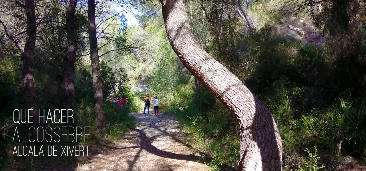 Senderos y naturaleza en Alcossebre. Descubre qué ver en Alcossebre y disfruta de un día de senderismo en familia.
